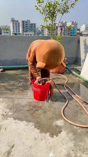 Mr Teddy Bear on TikTok