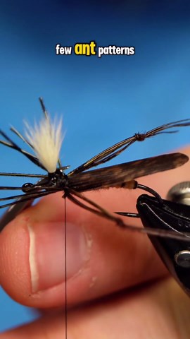 Brian Smith on Instagram: "Parachute Hopper! Hook: @AhrexHooks FW531 size 10 Thread: @semperfli 12/0 classic wax Rib: #semperfli floss twisted Dubbing: beaver Post: calf tail Wing: turkey Hackle: #whitingfarms from jimsflyco #semperfli #semperfliworldwide #semperfliproteam #semperfliflytying #queensaward #magpieturkeybiots #magpiefinebeaverdubbing #whitingfarms #naturesspiritflytying #sightcastfishing #anadromousflycompany #lidrig #stonfoflytying #fly #flytyingjunkie #flytyingtutorial #flytyinga