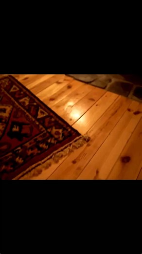 This tiny cabin deep in the forest is the dream escape for many. But could you handle the silence and simplicity of off-grid living? #RetreatLife #CozyCabin #cozy #CabinLife #cabin | Mountain Cabin