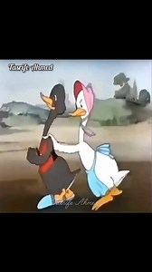 1M views · 25K reactions | Happy watch a classic cartoon, looney tunes 﫵﫵﫵 Fanny video58 years old and still watching this cartoonshappy to watch a classic cartoon cartoon funny video | Tasrife Ahmed | Facebook