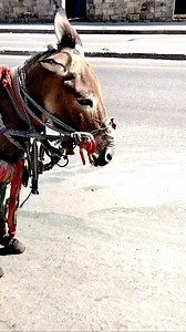 178K views · 3.2K reactions | كن على يقين بأن كل ما تقدمه من خير...