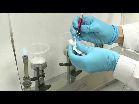 Identificación y Recuento de E.coli y bacterias coliformes | | UPV