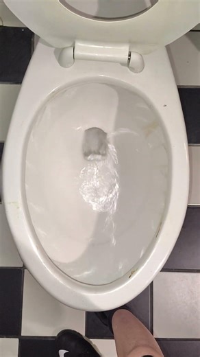 2000s American Standard Madera Toilet At A Restaurant!