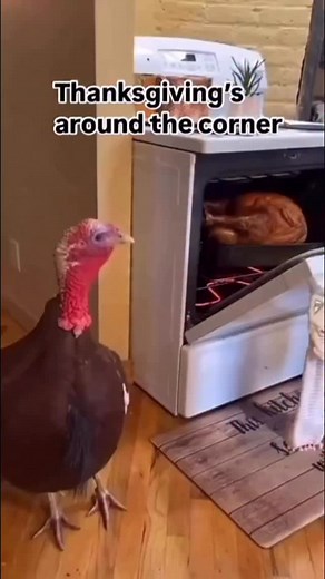 😂😂😂 | Jamie Foxx