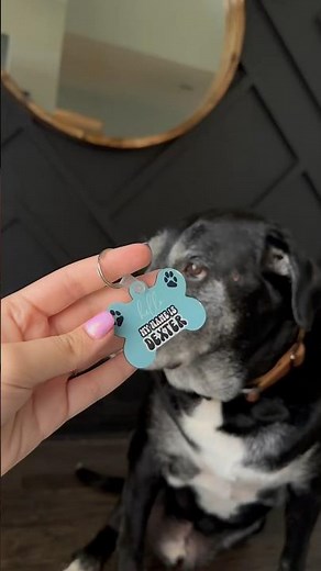 🐾 Personalize your pup's style with a DIY sublimation dog tag craft! ✨