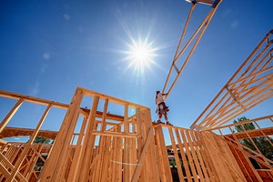 How nature can change the built environment, part one