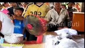 Cow gives birth to human baby