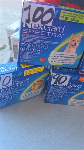 Mastering Money Management for Delivery Professionals