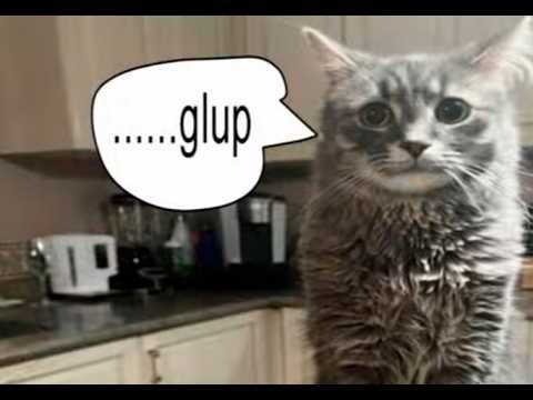 Fire◎Flower | Karaoke