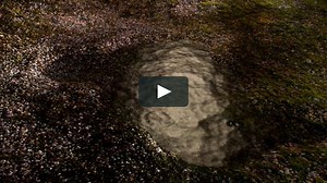 Rain in a puddle - 1024x576 - MOV with sound