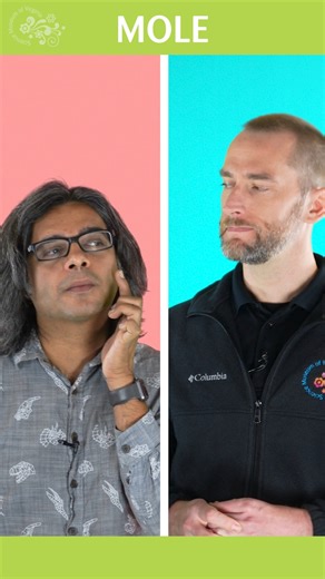 It's Mole Day, but what does that mean? Watch to the end to find out what it definitely DOESN'T mean! Celebrated annually on October 23 from 6:02 a.m. to 6:02 p.m., Mole Day commemorates Avogadro's Number (6.02 x 10^-23), which is a basic measuring unit in chemistry. #Mole #WhatDoesItMean #MoleDay #BigNumbers #stemeducation | Science Museum of Virginia