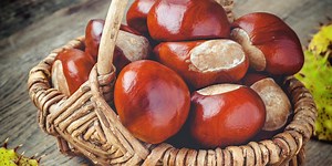 Woman shares eco-friendly way to make laundry detergent using conkers