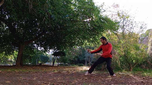 Lao Jia (Yi Lu y Er Lu) conforman la forma más antigua de Taichi Chuan del estilo Chen que se conoce y es la base y el origen para todas las formas modernas que se practican hoy en día. En este vídeo te muestro mi interpretación personal de Lao Jia Yi Lu, fruto de mi estudio y práctica con diferentes maestros y en diferentes escuelas 😊🙏 Si quieres ver la forma completa pincha el siguiente enlace: https://youtu.be/fiV9oN7l2Ao?si=U-JSfdDUEnRbc-DL #taichi #taichichuan #taijiquan #chentaichi #chen