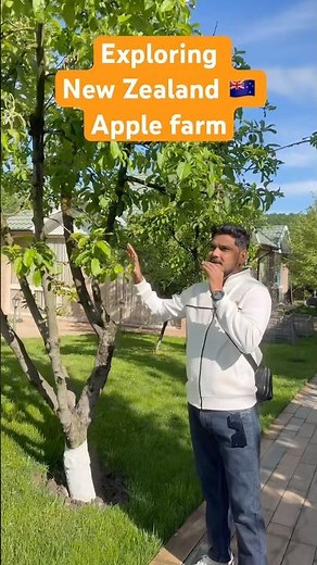 Exploring New Zealand 🇳🇿 Apple 🍎 Farm 2026