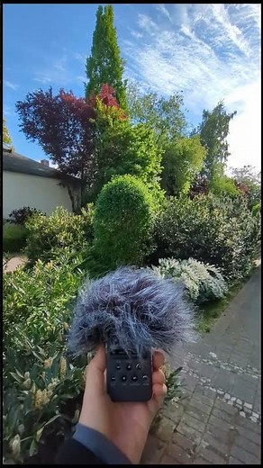 Field recording Sony m10 backyard with birds and city sounds