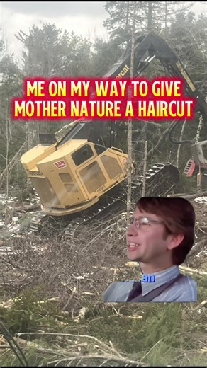 Logger Lifestyle: Nature and Memes Combined