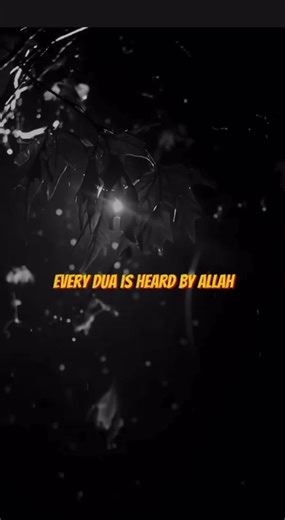 IslamTeachings101 (@islam101teachings)’s videos with original sound - IslamTeachings101