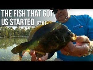 The Fish That Got Us Started - Pt 1