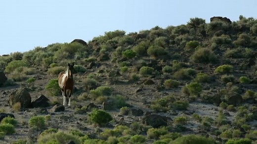 Wild West America's Great Frontier (S1 Ep1) - Desert Heartlands