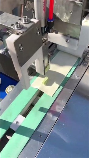 The automatic wonton maker