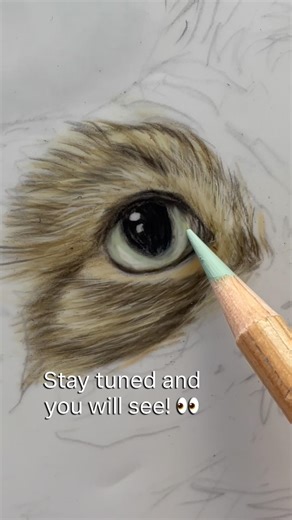 Realistic Cat Drawing Timelapse 🐱 | Pet Portrait Art | #Shorts