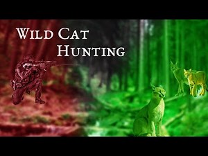 Dangerous Wild Cat Hunt | Rare Jungle Footage