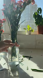 Flower reset! 🌷🌸#reset #organization #organizedhome #satisfying #satisfyingasmr #asmr #restock | The Organized Addict