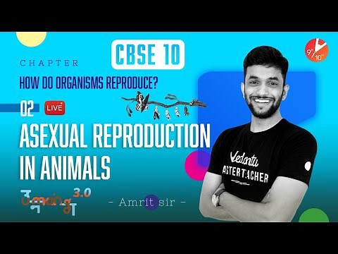 How Do Organisms Reproduce? Part2 |Asexual Reproduction in Animals |Class10 Biology‪@vedantucbse10th‬