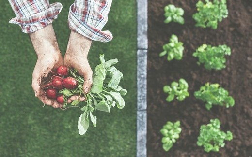 How to Plan Your Square Foot Garden + Free Printable Planner - The Homemaker's Society