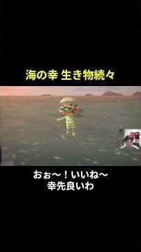 Is Blathers’ time to shine finally here!? #SpoilerAlert #GameStream #AnimalCrossing #ACNH
