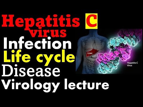 Hepatitis C virus infection and treatment