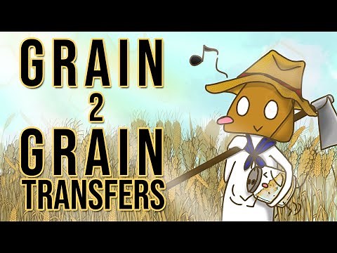 Inoculating Grain to Grain - Making Mushroom Spawn