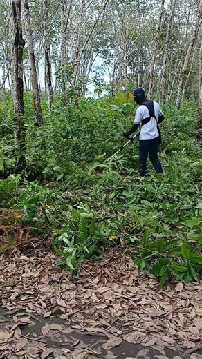 Use Tanzu lawnmower to quickly remove weeds