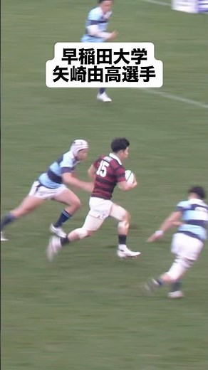 早稲田大学 矢崎由高選手がディフェンス中央を突破しトライ！#大学ラグビー
