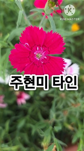 Joo Hyun-mi#Stranger