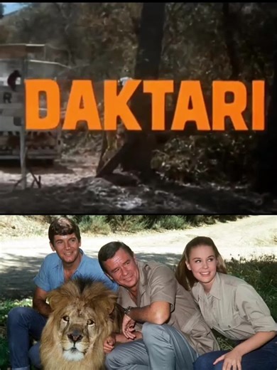 Opening: Daktari #intros #openings #tvseries #seriestv #tvshows #daktari