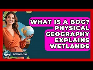 What Is A Bog? Physical Geography Explains Wetlands - The Student Atlas