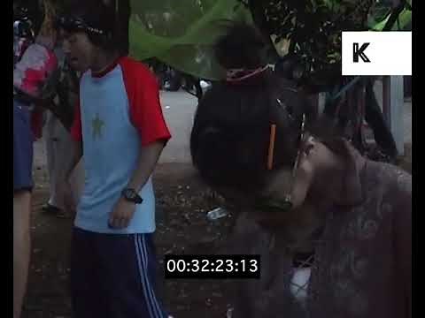 1990s Tokyo, Outdoor Techno Rave, Festival