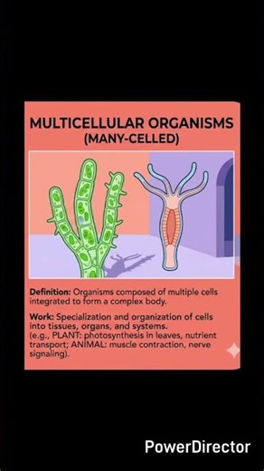 Types of organisms #biology #physics #chemistry #class9 #ncert #ncertsolutions