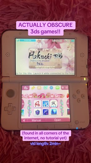 this has become all of my downtime…. #3ds #modded3ds #3dsgames | Visual Novel Game