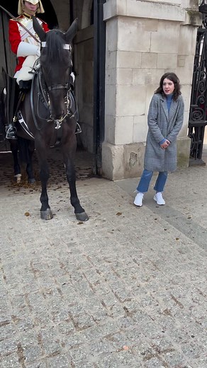 563K views · 6.3K reactions | Solider Check Emergency Button! Royal King’s Horse Guards Parade | I Love London | Facebook