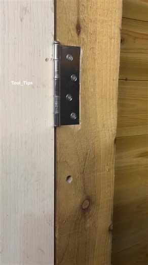 #entertainment #scientificexperiment #entertainmentvideos