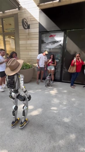 Rizzbot on Instagram: "Robot: What the dog doin? #robot"