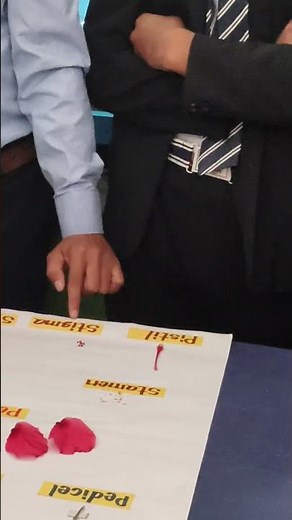 Flower Dissection Focus | Detailed Study of Hibiscus rosa-sinensis.