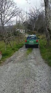 4.3M views · 10K reactions | Carabinieri forestali soccorrono due anziani | Ten TV | Facebook