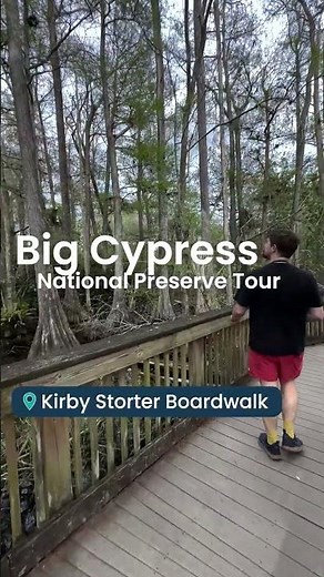 Drive the Overseas Highway & Beyond 🚗 | Florida National Parks Tour Guide