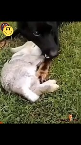 Coincidences on CameraEvents Nobody Saw Coming #fblifestyle | Fun Bun