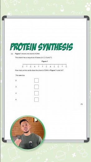 GCSE Biology: Exam Question | Protein Synthesis