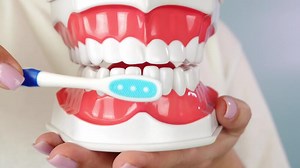 Demonstrating effective toothbrushing techniques on dental model
