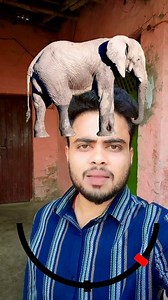 6.7K views · 49 reactions | Elephant challenging video  #elephant #elephantlove #animals #ChallengeAccepted #viral #facebookreel Facts Mind 99 | Facts Mind 99 | Facebook